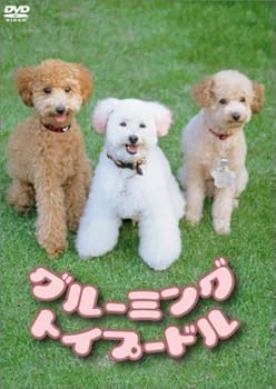【中古】グルーミング トイプードル [DVD]