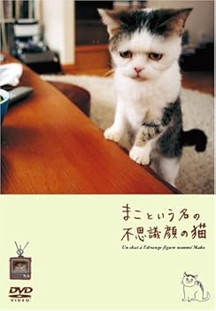 【中古】まこという名の不思議顔の猫(DVD)