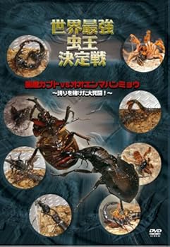 【中古】世界最強虫王決定戦 国産カブトvsオオエンマハンミョウ~誇りを賭けた大死闘!~ [DVD]