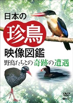 【中古】シンフォレストDVD 日本の珍鳥 映像図鑑 野鳥たちとの奇跡の遭遇【メーカー名】【メーカー型番】【ブランド名】竹緒 ホビー・実用 バラエティ: Artist【商品説明】シンフォレストDVD 日本の珍鳥 映像図鑑 野鳥たちとの奇跡の遭遇当店では初期不良に限り、商品到着から7日間は返品を 受付けております。お問い合わせ・メールにて不具合詳細をご連絡ください。他モールとの併売品の為、完売の際はキャンセルご連絡させて頂きます。中古品の商品タイトルに「限定」「初回」「保証」「DLコード」などの表記がありましても、特典・付属品・帯・保証等は付いておりません。電子辞書、コンパクトオーディオプレーヤー等のイヤホンは写真にありましても衛生上、基本お付けしておりません。※未使用品は除く品名に【import】【輸入】【北米】【海外】等の国内商品でないと把握できる表記商品について国内のDVDプレイヤー、ゲーム機で稼働しない場合がございます。予めご了承の上、購入ください。掲載と付属品が異なる場合は確認のご連絡をさせて頂きます。ご注文からお届けまで1、ご注文⇒ご注文は24時間受け付けております。2、注文確認⇒ご注文後、当店から注文確認メールを送信します。3、お届けまで3〜10営業日程度とお考えください。4、入金確認⇒前払い決済をご選択の場合、ご入金確認後、配送手配を致します。5、出荷⇒配送準備が整い次第、出荷致します。配送業者、追跡番号等の詳細をメール送信致します。6、到着⇒出荷後、1〜3日後に商品が到着します。　※離島、北海道、九州、沖縄は遅れる場合がございます。予めご了承下さい。お電話でのお問合せは少人数で運営の為受け付けておりませんので、お問い合わせ・メールにてお願い致します。営業時間　月〜金　11:00〜18:00★お客様都合によるご注文後のキャンセル・返品はお受けしておりませんのでご了承ください。0