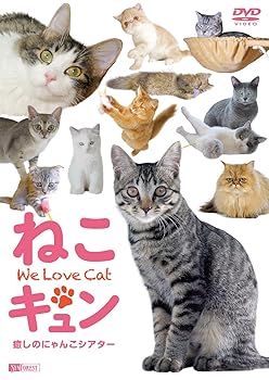 【中古】シンフォレストDVD ねこキュン 癒しのにゃんこシアター We Love Cat【メーカー名】【メーカー型番】【ブランド名】【商品説明】シンフォレストDVD ねこキュン 癒しのにゃんこシアター We Love Cat当店では初期不良に限り、商品到着から7日間は返品を 受付けております。お問い合わせ・メールにて不具合詳細をご連絡ください。他モールとの併売品の為、完売の際はキャンセルご連絡させて頂きます。中古品の商品タイトルに「限定」「初回」「保証」「DLコード」などの表記がありましても、特典・付属品・帯・保証等は付いておりません。電子辞書、コンパクトオーディオプレーヤー等のイヤホンは写真にありましても衛生上、基本お付けしておりません。※未使用品は除く品名に【import】【輸入】【北米】【海外】等の国内商品でないと把握できる表記商品について国内のDVDプレイヤー、ゲーム機で稼働しない場合がございます。予めご了承の上、購入ください。掲載と付属品が異なる場合は確認のご連絡をさせて頂きます。ご注文からお届けまで1、ご注文⇒ご注文は24時間受け付けております。2、注文確認⇒ご注文後、当店から注文確認メールを送信します。3、お届けまで3〜10営業日程度とお考えください。4、入金確認⇒前払い決済をご選択の場合、ご入金確認後、配送手配を致します。5、出荷⇒配送準備が整い次第、出荷致します。配送業者、追跡番号等の詳細をメール送信致します。6、到着⇒出荷後、1〜3日後に商品が到着します。　※離島、北海道、九州、沖縄は遅れる場合がございます。予めご了承下さい。お電話でのお問合せは少人数で運営の為受け付けておりませんので、お問い合わせ・メールにてお願い致します。営業時間　月〜金　11:00〜18:00★お客様都合によるご注文後のキャンセル・返品はお受けしておりませんのでご了承ください。0
