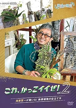 ����šۼ�̣�α�� ���졢���ä�������!vol.2 ��ƣ���줬�ä���! Ǯ�ӿ�ʪ�λ�Ω���� [DVD]