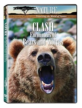 Nature: Clash: Encounters of Bears & Wolves 