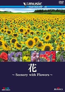 【中古】花〜Scenery with Floews〜 V-music03　 [DVD]【メーカー名】【メーカー型番】【ブランド名】BMG ワールド, ドキュメンタリー, ホビー・実用 【商品説明】花〜Scenery with Floews〜 V-music03　 [DVD]当店では初期不良に限り、商品到着から7日間は返品を 受付けております。お問い合わせ・メールにて不具合詳細をご連絡ください。他モールとの併売品の為、完売の際はキャンセルご連絡させて頂きます。中古品の商品タイトルに「限定」「初回」「保証」「DLコード」などの表記がありましても、特典・付属品・帯・保証等は付いておりません。電子辞書、コンパクトオーディオプレーヤー等のイヤホンは写真にありましても衛生上、基本お付けしておりません。※未使用品は除く品名に【import】【輸入】【北米】【海外】等の国内商品でないと把握できる表記商品について国内のDVDプレイヤー、ゲーム機で稼働しない場合がございます。予めご了承の上、購入ください。掲載と付属品が異なる場合は確認のご連絡をさせて頂きます。ご注文からお届けまで1、ご注文⇒ご注文は24時間受け付けております。2、注文確認⇒ご注文後、当店から注文確認メールを送信します。3、お届けまで3〜10営業日程度とお考えください。4、入金確認⇒前払い決済をご選択の場合、ご入金確認後、配送手配を致します。5、出荷⇒配送準備が整い次第、出荷致します。配送業者、追跡番号等の詳細をメール送信致します。6、到着⇒出荷後、1〜3日後に商品が到着します。　※離島、北海道、九州、沖縄は遅れる場合がございます。予めご了承下さい。お電話でのお問合せは少人数で運営の為受け付けておりませんので、お問い合わせ・メールにてお願い致します。営業時間　月〜金　11:00〜18:00★お客様都合によるご注文後のキャンセル・返品はお受けしておりませんのでご了承ください。0