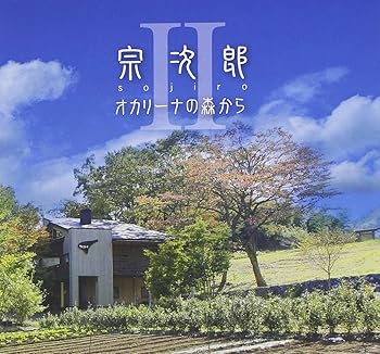 【中古】オカリーナの森からII