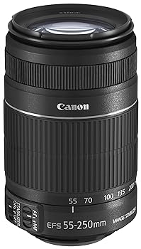 【中古】Canon EF-S55-250mm F4-5.6 IS II 【白箱タイプ】