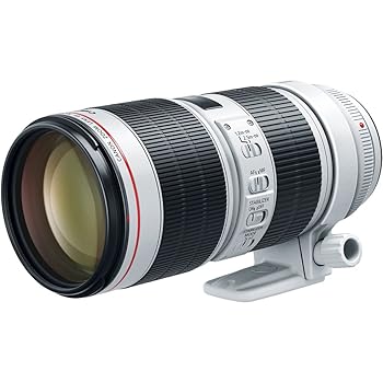 【中古】キヤノン EF70-200mm F2.8L IS III USM EF70-200LIS3