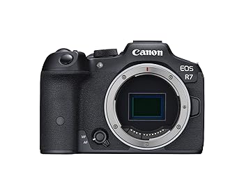 【中古】キヤノン EOS R