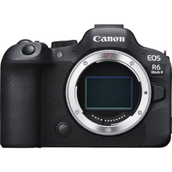 【中古】キヤノン EOSR6