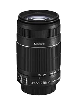 UNIDEN - 【中古】EF-S55-250mm F4-5.6 IS II　望遠ズームレンズ