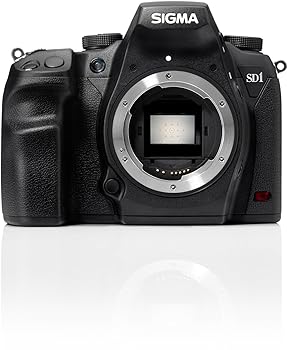 Digital Camera - 【中古】SIGMA デジタル一眼レフカメラ SD1Merrill 4,600万画素 FoveonX3ダイレクトイメージセンサー(APS-C)搭載 928766