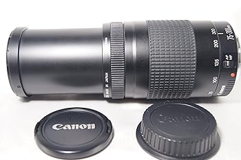 【中古】Canon キヤノン EF 75-300mm F4-5.6 II