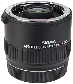 SIGMA テレコンバーター APO TELE CONVERTER 2x EX DG キヤノン用 876272