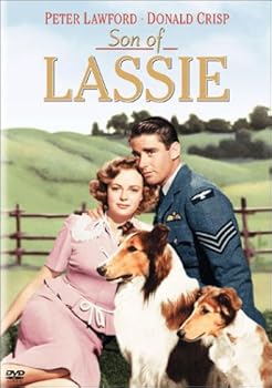 【中古】名犬ラッシー / ラッシーの息子