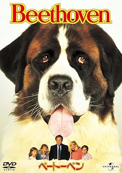 【中古】ベートーベン 【ベスト・ライブラリー 1500円:第4弾】 [DVD]【メーカー名】【メーカー型番】【ブランド名】【商品説明】ベートーベン 【ベスト・ライブラリー 1500円:第4弾】 [DVD]当店では初期不良に限り、商品到着から7日間は返品を 受付けております。お問い合わせ・メールにて不具合詳細をご連絡ください。他モールとの併売品の為、完売の際はキャンセルご連絡させて頂きます。中古品の商品タイトルに「限定」「初回」「保証」「DLコード」などの表記がありましても、特典・付属品・帯・保証等は付いておりません。電子辞書、コンパクトオーディオプレーヤー等のイヤホンは写真にありましても衛生上、基本お付けしておりません。※未使用品は除く品名に【import】【輸入】【北米】【海外】等の国内商品でないと把握できる表記商品について国内のDVDプレイヤー、ゲーム機で稼働しない場合がございます。予めご了承の上、購入ください。掲載と付属品が異なる場合は確認のご連絡をさせて頂きます。ご注文からお届けまで1、ご注文⇒ご注文は24時間受け付けております。2、注文確認⇒ご注文後、当店から注文確認メールを送信します。3、お届けまで3〜10営業日程度とお考えください。4、入金確認⇒前払い決済をご選択の場合、ご入金確認後、配送手配を致します。5、出荷⇒配送準備が整い次第、出荷致します。配送業者、追跡番号等の詳細をメール送信致します。6、到着⇒出荷後、1〜3日後に商品が到着します。　※離島、北海道、九州、沖縄は遅れる場合がございます。予めご了承下さい。お電話でのお問合せは少人数で運営の為受け付けておりませんので、お問い合わせ・メールにてお願い致します。営業時間　月〜金　11:00〜18:00★お客様都合によるご注文後のキャンセル・返品はお受けしておりませんのでご了承ください。0