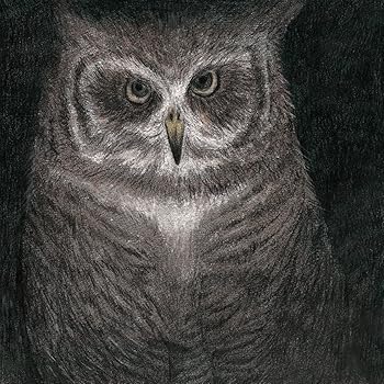 【中古】フクロウの声が聞こえる(完全生産限定盤)