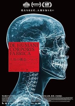 【中古】映画パンフレット 人体の構造について
