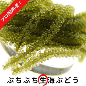 生 海ぶどう 500gタレ付 送料無料 新鮮 鮮度抜群 お中元 お歳暮 ギフト 産直 沖縄県産 海ブドウ クビレズタ 沖縄料理 沖縄食材 刺し身 業務用 海藻 沖縄 お土産 うみぶどう 寿司 丼 ヘルシー 低カロリー ミネラル スーパーフード 食物繊維 ダイエット サラダ