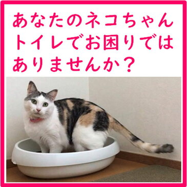 猫目線の猫砂選び もうカキカキが止まらない! りんごの木 高級猫砂 6L ウミダスジャパン 天然の木を使用