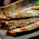 ししゃも 北海道産 柳葉魚 希少な本物 天然 本 シシャモ オス 30尾