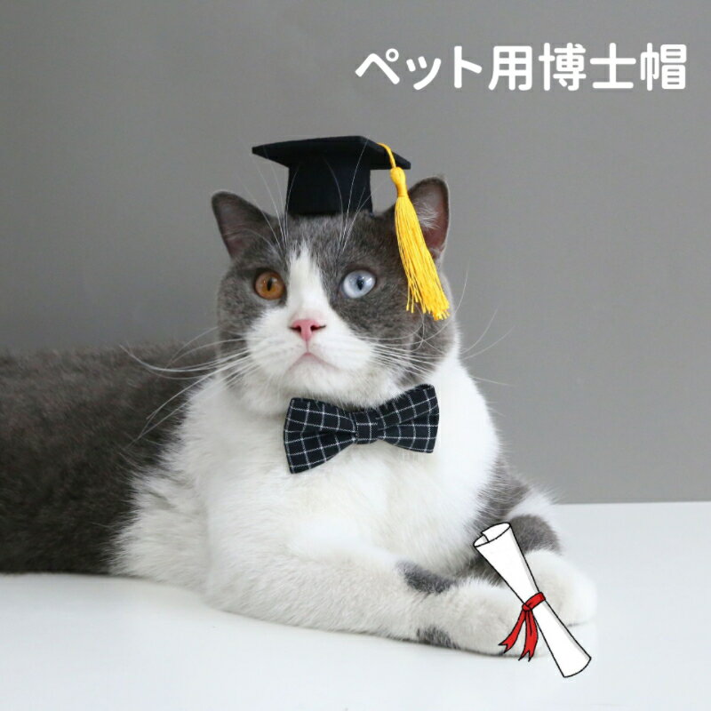 【送料無料】帽子 猫首輪 蝶ネクタイ 博士帽 猫犬用 コスプレ 仮装 軽い かわいい 着用に便利 3カラー選べる ヘッドバンド 安全 おしゃれ ねこ くびわ 柔らかい お洒落 猫の首輪 こいぬ 猫用首輪 猫 首輪 綺麗 キレイ 気にならない 子犬 小犬ペットグッズ ペット用 猫用