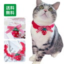 【送料無料】猫首輪 いちご 苺 毛糸 軽い かわいい 着用に便利 安全 おしゃれ ねこ くびわ 柔らかい お洒落 猫の首輪 こいぬ 猫用首輪 猫 首輪 綺麗 キレイ 気にならない 子犬 小犬ペットグッズ