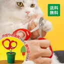 【本日お得なクーポン配布中】【送料無料】犬 猫爪切り チューリップ型 張小泉 30Cr13ステンレス鋼 錆びない ハサミ型 子猫 犬爪切り ペット爪切り ペット用つめきり 犬ネイル ペット 犬 猫 握りやすい 簡単 静か 切れ味 つめ切り 家庭用 自宅練習 いぬ ねこ うさぎ