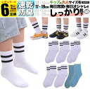 女の子 靴下 子ども用 L 白 ラインソックス ライン キッズ 子供 ソックス セット 6足組 男の子 5足組 +おまけ1足組 くつ下 ジュニア 保育園 幼稚園...