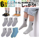 男の子 靴下 子ども用 L グレー ワンポイント キッズ 子供 ソックス セット 6足組 女の子 5足組 +おまけ1足組 くつ下 ジュニア 保育園 幼稚園 小学...