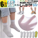 男の子 靴下 子ども用 XL グレー ラインソックス ライン メッシュ キッズ 子供 ソックス セット 6足組 女の子 5足組 +おまけ1足組 くつ下 ジュニア...