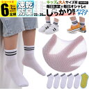 中学生 女の子 靴下 大人 兼用 2XL 白 ラインソックス ライン メッシュ 子供 ソックス セット 6足組 男の子 5足組 +1足組 くつ下 ジュニア メン...