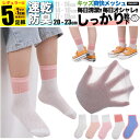女の子 靴下 子ども用 XL 白 ピンク 無地 メッシュ キッズ 子供 ソックス セット 5足組 男の子 4足組 +おまけ1足組 くつ下 ジュニア 保育園 小学...