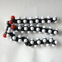 YYS原子ブロック「牛脂」（パルミチン酸×2＋オレイン酸＋グリセリン） 1