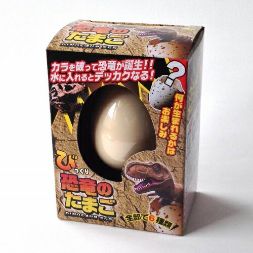 びっくり「恐竜のたまご」DINOSAUR EGGのサムネイル