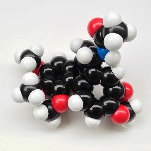 YYS原子ブロック「コルヒチン分子（C22H25NO6）」