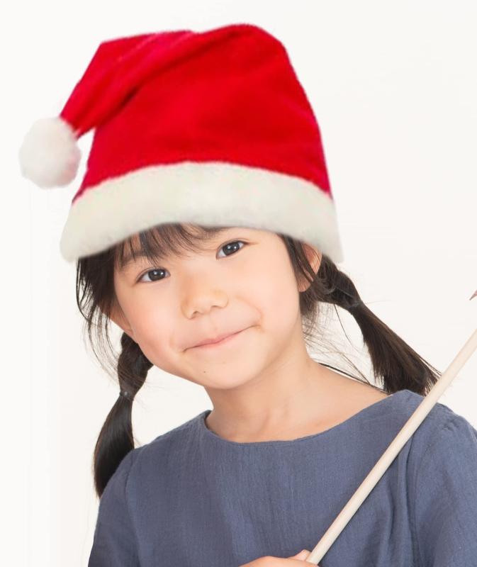 [륫] 207  ˹S (Ƭ56cmޤ)  ꥹޥ  ˹ ʪ ץ 󥿥   İ 󥿥...