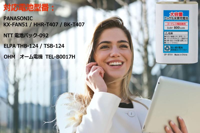 サンワサプライ コア付シールドツイストモジュラーケーブル TEL-FST-5N2