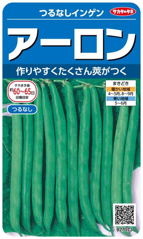 サカタのタネ 実咲野菜7073 アーロン つるなしインゲン 00927073