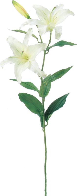乐天商城 - asca 造花 カサブランカ ホワイト