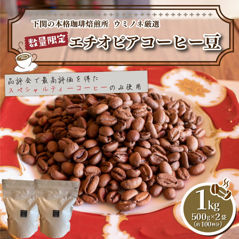 訳あり スペシャルティ コーヒー豆 1kg ( 500g × 2袋 ) 数量限定 選べる 挽き方 エチオピア　浅煎り 珈琲 自家焙煎 下関 山口 限定 ご当地 焙煎 スペシャルティコーヒー おうち時間　ギフト 送料無料 コーヒー 福袋 大容量 中挽き / 豆　コーヒー専門店　コーヒー