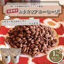 訳あり スペシャルティ コーヒー豆 1kg ( 500g × 2袋 ) 数量限定 選べる 挽き方 エチオピア　浅煎り 珈琲 自家焙煎 下関 山口 限定 ご当地 焙煎 スペシャルティコーヒー おうち時間　ギフト 送料無料 コーヒー 福袋 大容量 中挽き / 豆　コーヒー専門店　人気　プレゼント