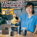 最高に香り高い 無農薬 スペシャルティ コーヒー 100g エチオピア イルガチェフェ ナチュラル コーヒー豆 中深煎り コーヒー専門店 ギフト コーヒー 自家焙煎珈琲 珈琲豆 自家焙煎 送料無料 限定　早割 おためし ドリップ ストレート　プレゼント　贈り物　健康