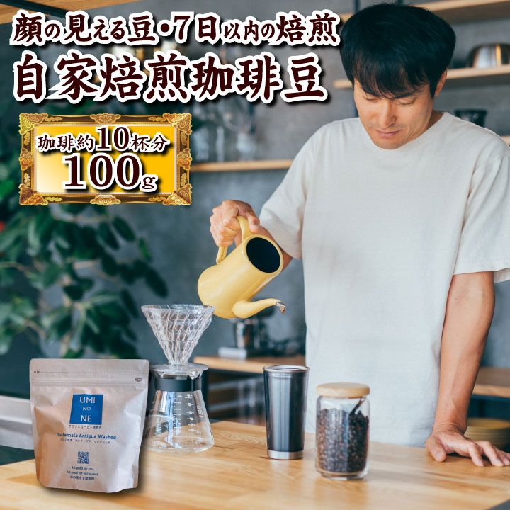 顔の見える スペシャルティ— コーヒー 100g グアテマラ アンティグア ウォッシュド コーヒー豆 深煎り コーヒー専門店 ギフト コーヒー 自家焙煎珈琲 珈琲豆 自家焙煎 送料無料 限定 お試し　プレゼント　贈り物　健康　ペーパードリップ　お家時間　新鮮　健康食品