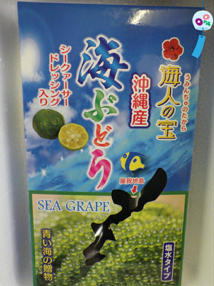 塩水タイプ海ぶどう　100g×4袋セット沖縄料理　沖縄食材　刺し身　美味しい　海藻　お土産　おススメ商品