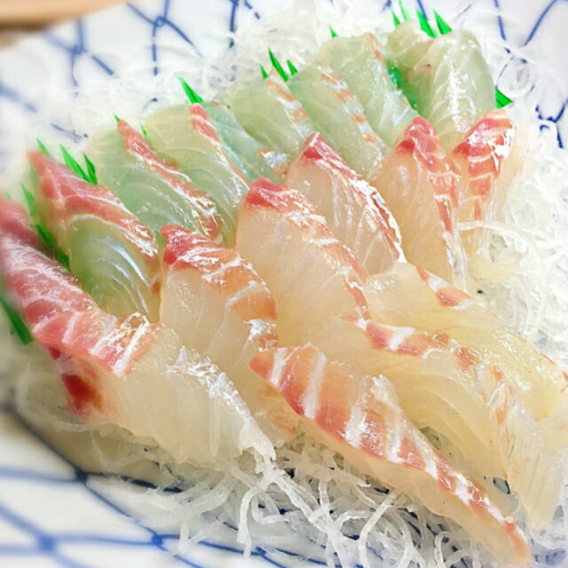 【産地直送】活〆。瀬戸内の天然真鯛 鮮魚 約1kg（1尾）35cm前後