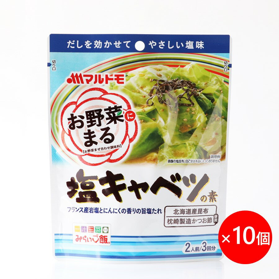 【お買上特典】冷や汁の素 100g 【道本食品】