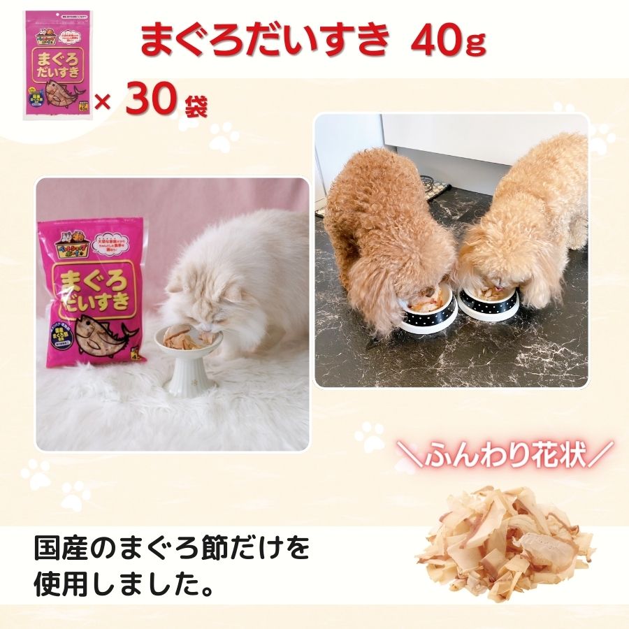 サンプル画像2