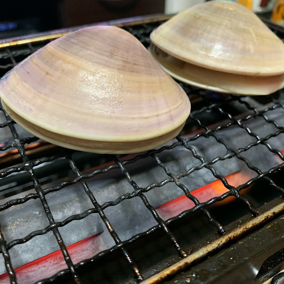 上手に焼けるはまぐりの焼き方3つのポイント もう失敗なんてしない 暮らし の