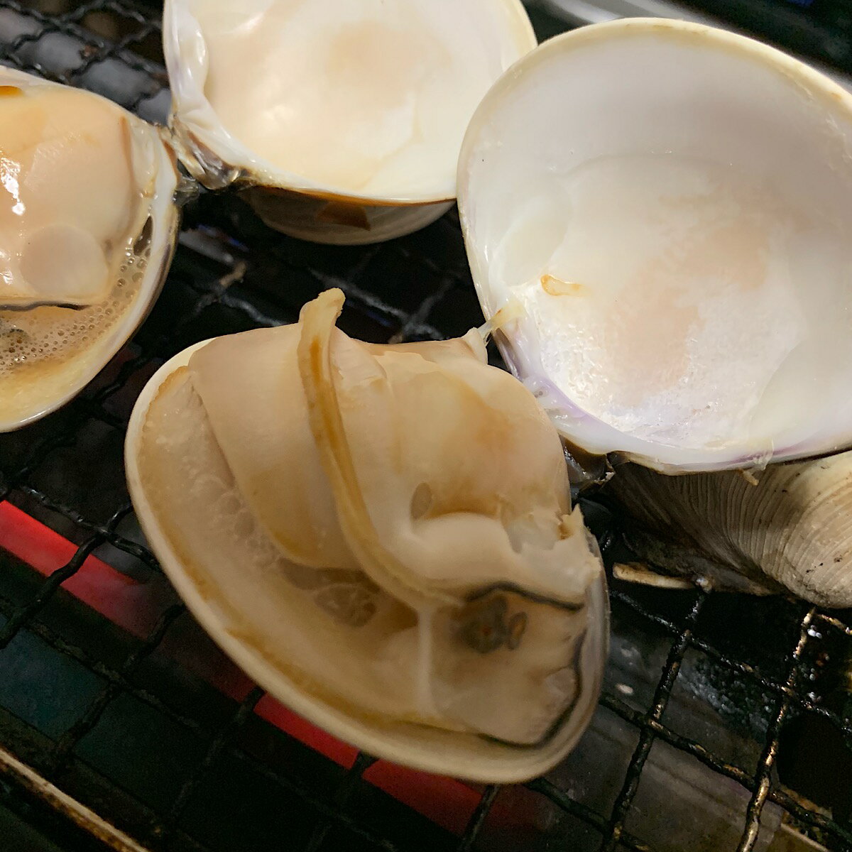 上手に焼けるはまぐりの焼き方3つのポイント もう失敗なんてしない 暮らし の