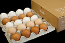 No.000初めてのソムリエセット20個入【送料無料】卵かけ 卵ご飯 卵かけご飯 たまごかけ たまごかけごはん 卵 ごはん たまごかけご飯 卵かけご飯 たまごかけ御飯 卵かけ御飯 醤油にぴったり たまごのソムリエ 2